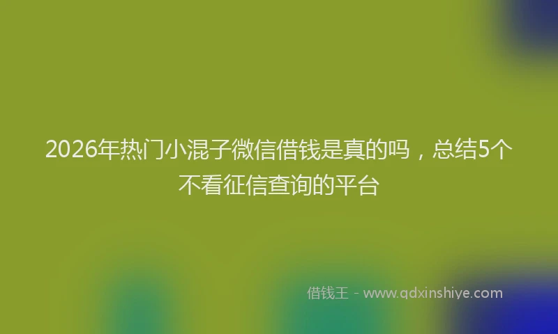 2026年热门小混子微信借钱是真的吗，总结5个不看征信查询的平台