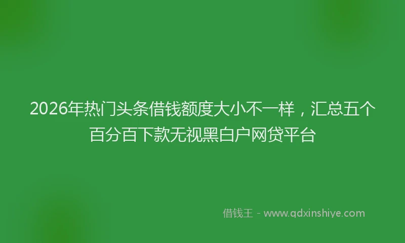 2026年热门头条借钱额度大小不一样，汇总五个百分百下款无视黑白户网贷平台