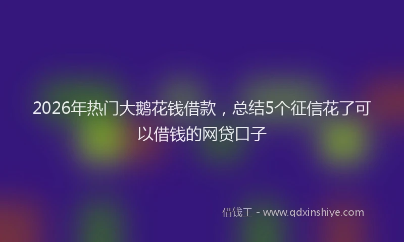 2026年热门大鹅花钱借款，总结5个征信花了可以借钱的网贷口子