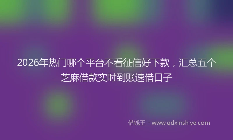2026年热门哪个平台不看征信好下款，汇总五个芝麻借款实时到账速借口子