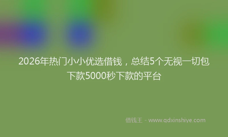 2026年热门小小优选借钱，总结5个无视一切包下款5000秒下款的平台
