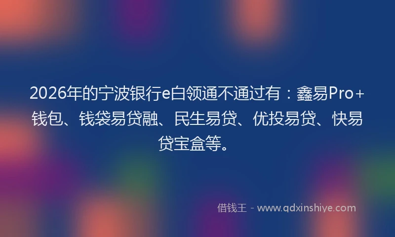 2026年的宁波银行e白领通不通过有：鑫易Pro+钱包、钱袋易贷融、民生易贷、优投易贷、快易贷宝盒等。