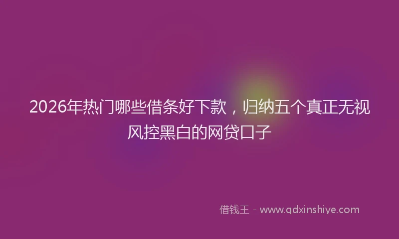 2026年热门哪些借条好下款，归纳五个真正无视风控黑白的网贷口子