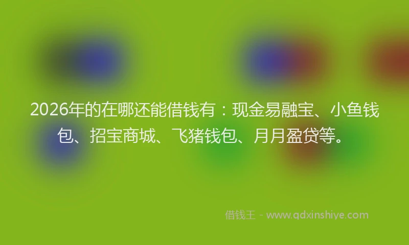 2026年的在哪还能借钱有：现金易融宝、小鱼钱包、招宝商城、飞猪钱包、月月盈贷等。