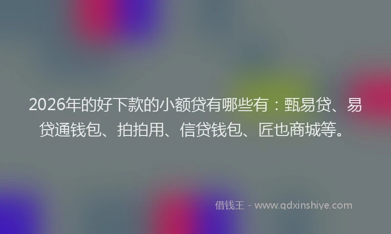 2026年的好下款的小额贷有哪些有：甄易贷、易贷通钱包、拍拍用、信贷钱包、匠也商城等。