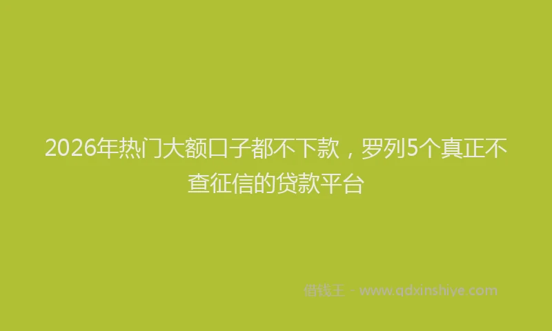 2026年热门大额口子都不下款，罗列5个真正不查征信的贷款平台