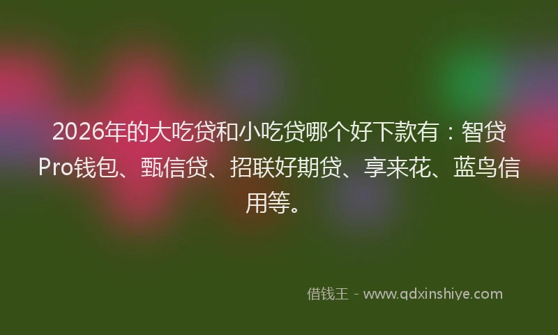 2026年的大吃贷和小吃贷哪个好下款有：智贷Pro钱包、甄信贷、招联好期贷、享来花、蓝鸟信用等。