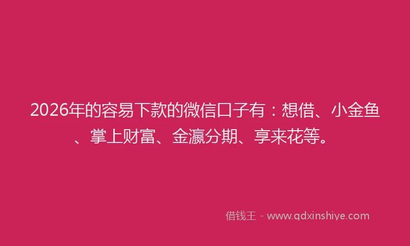 2026年的容易下款的微信口子有：想借、小金鱼、掌上财富、金瀛分期、享来花等。