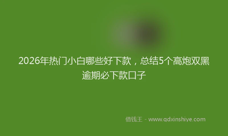 2026年热门小白哪些好下款，总结5个高炮双黑逾期必下款口子