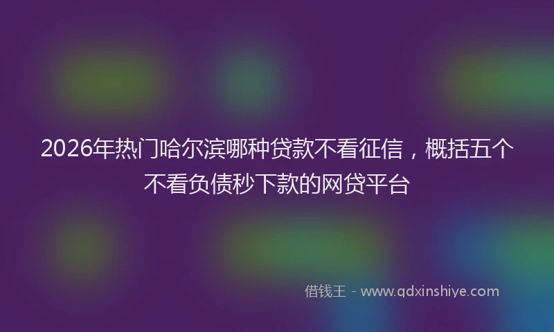 2026年热门哈尔滨哪种贷款不看征信，概括五个不看负债秒下款的网贷平台