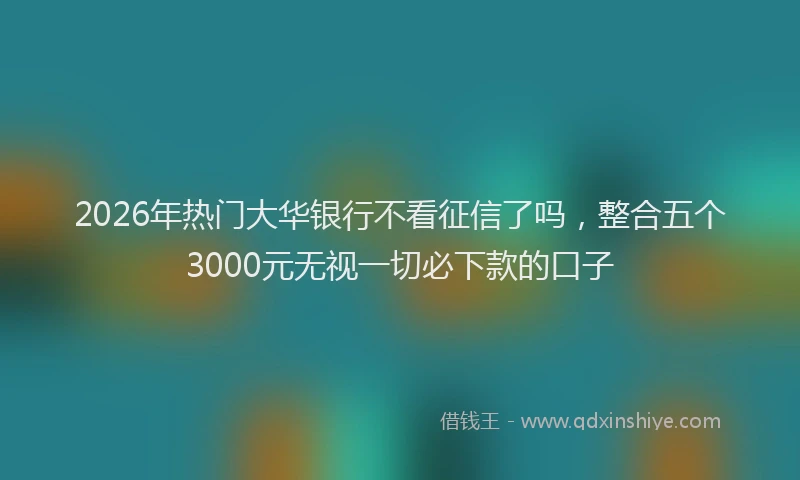 2026年热门大华银行不看征信了吗，整合五个3000元无视一切必下款的口子