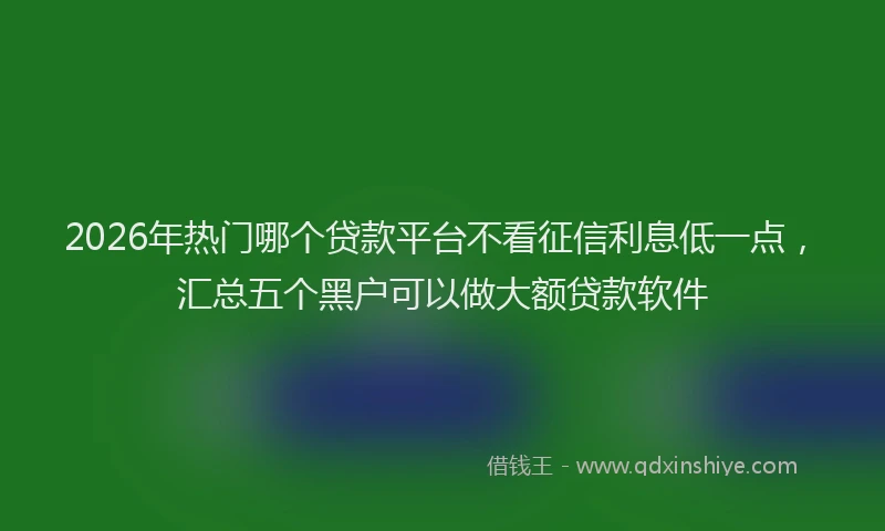 2026年热门哪个贷款平台不看征信利息低一点，汇总五个黑户可以做大额贷款软件