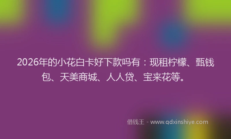2026年的小花白卡好下款吗有：现租柠檬、甄钱包、天美商城、人人贷、宝来花等。