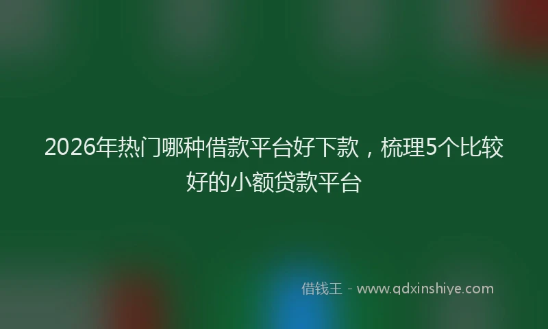 2026年热门哪种借款平台好下款，梳理5个比较好的小额贷款平台