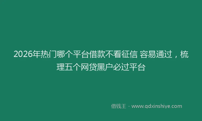 2026年热门哪个平台借款不看征信 容易通过，梳理五个网贷黑户必过平台