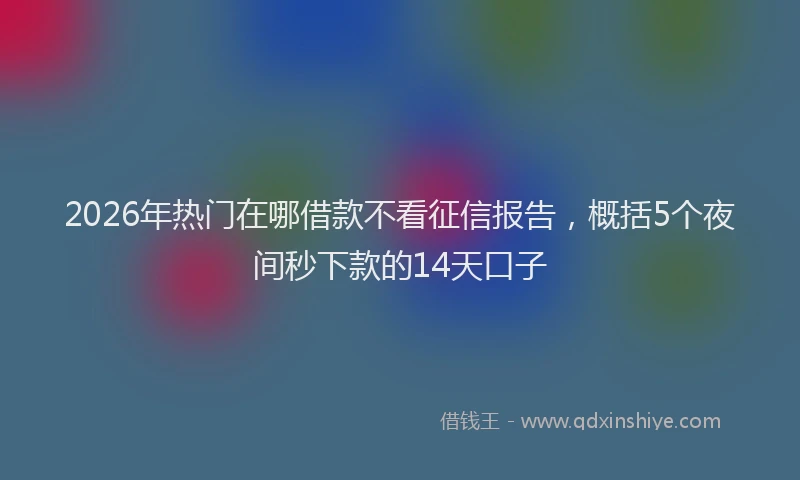 2026年热门在哪借款不看征信报告，概括5个夜间秒下款的14天口子