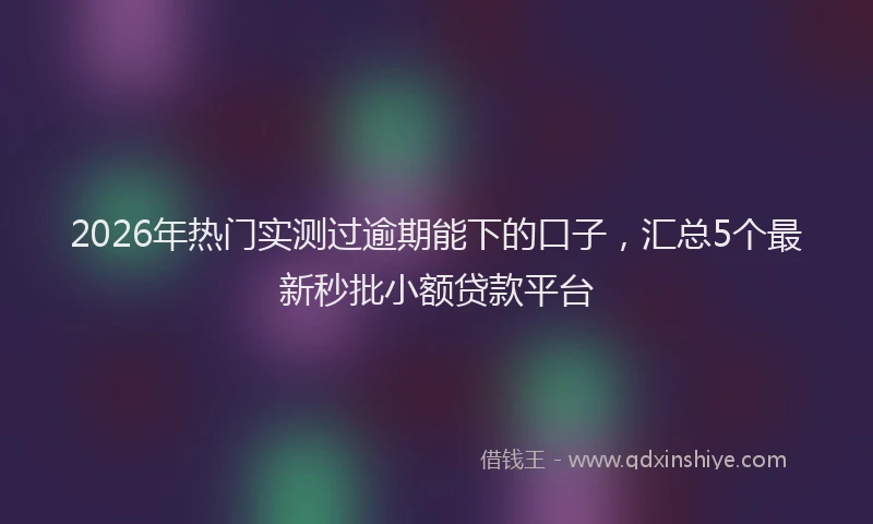 2026年热门实测过逾期能下的口子，汇总5个最新秒批小额贷款平台