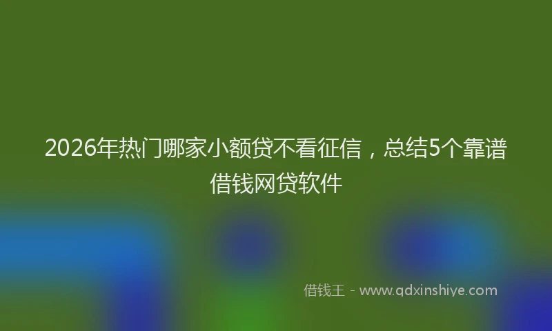 2026年热门哪家小额贷不看征信，总结5个靠谱借钱网贷软件