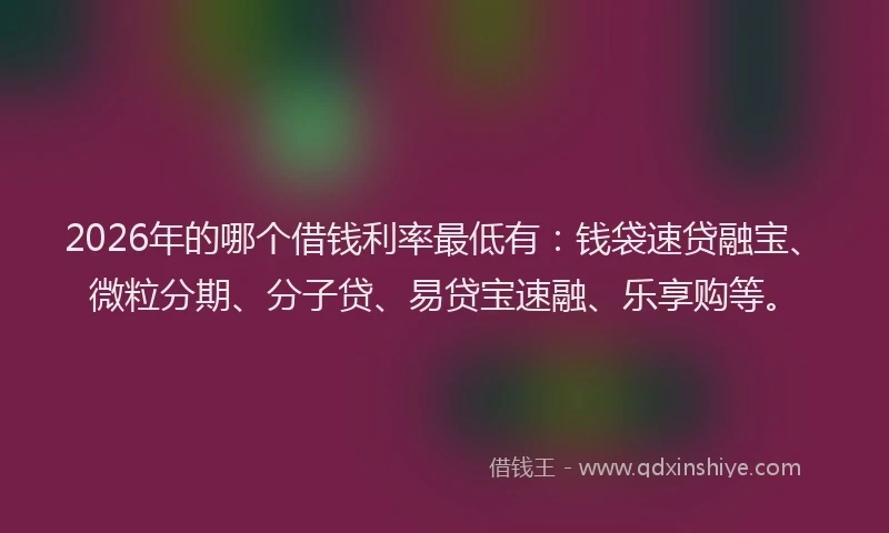 2026年的哪个借钱利率最低有：钱袋速贷融宝、微粒分期、分子贷、易贷宝速融、乐享购等。