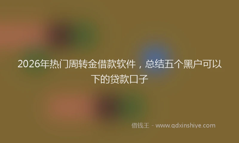 2026年热门周转金借款软件，总结五个黑户可以下的贷款口子