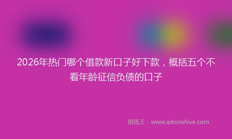 2026年热门哪个借款新口子好下款，概括五个不看年龄征信负债的口子