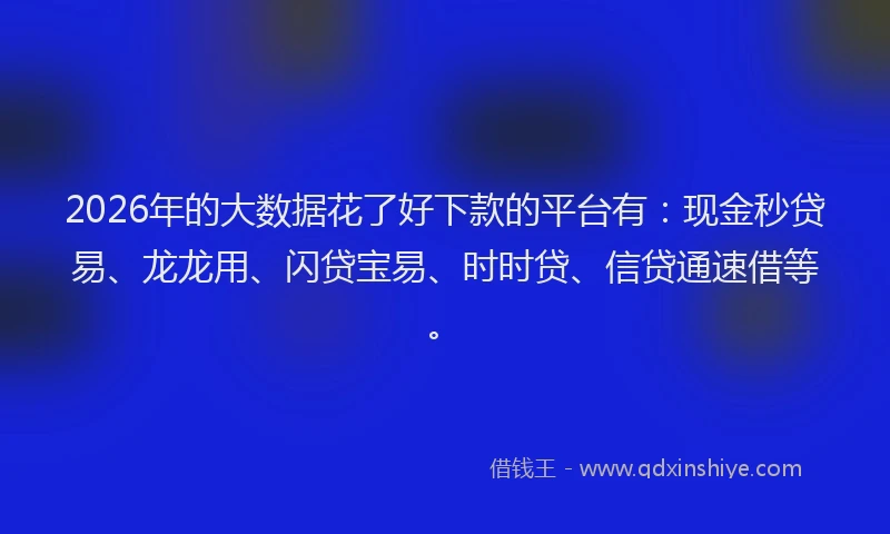 2026年的大数据花了好下款的平台有：现金秒贷易、龙龙用、闪贷宝易、时时贷、信贷通速借等。