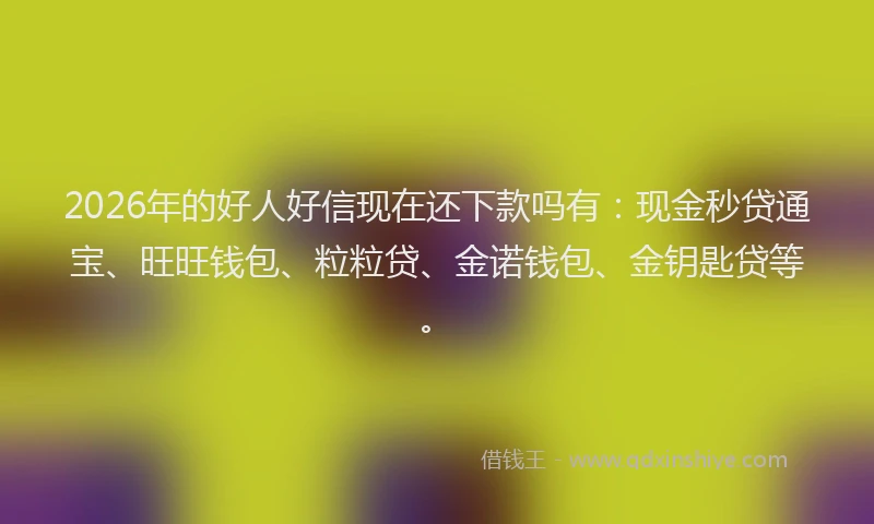 2026年的好人好信现在还下款吗有：现金秒贷通宝、旺旺钱包、粒粒贷、金诺钱包、金钥匙贷等。