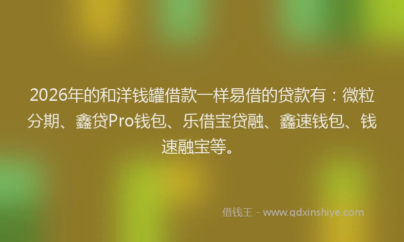 2026年的和洋钱罐借款一样易借的贷款有：微粒分期、鑫贷Pro钱包、乐借宝贷融、鑫速钱包、钱速融宝等。