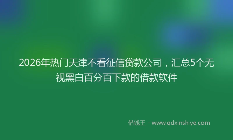 2026年热门天津不看征信贷款公司，汇总5个无视黑白百分百下款的借款软件