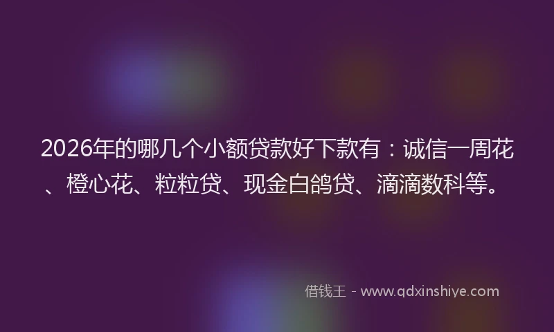 2026年的哪几个小额贷款好下款有：诚信一周花、橙心花、粒粒贷、现金白鸽贷、滴滴数科等。