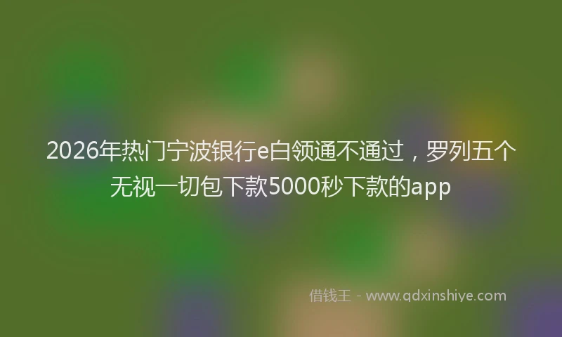 2026年热门宁波银行e白领通不通过，罗列五个无视一切包下款5000秒下款的app