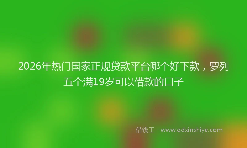 2026年热门国家正规贷款平台哪个好下款，罗列五个满19岁可以借款的口子