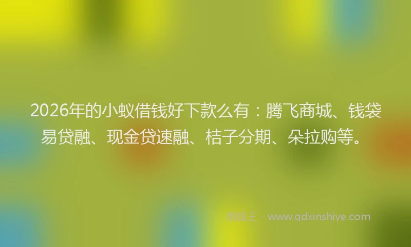 2026年的小蚁借钱好下款么有:腾飞商城、钱袋易贷融、现金贷速融、桔子分期、朵拉购等。