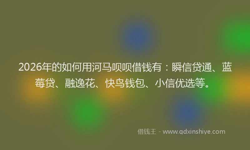 2026年的如何用河马呗呗借钱有：瞬信贷通、蓝莓贷、融逸花、快鸟钱包、小信优选等。