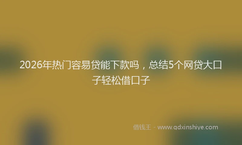2026年热门容易贷能下款吗，总结5个网贷大口子轻松借口子