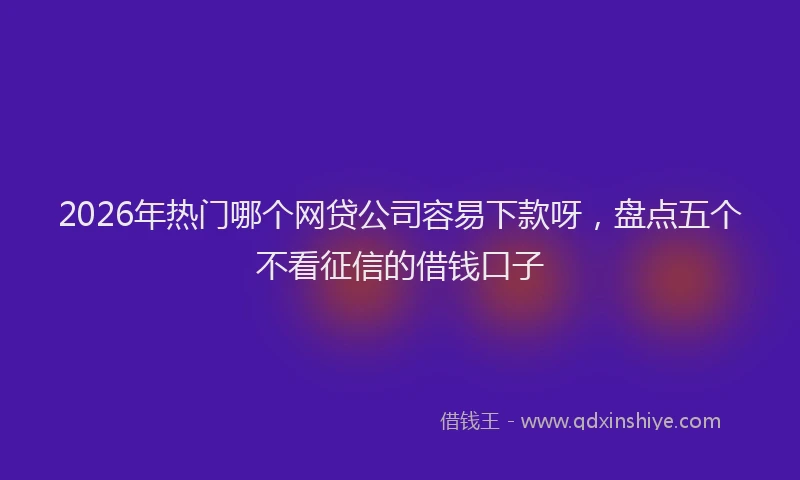 2026年热门哪个网贷公司容易下款呀，盘点五个不看征信的借钱口子