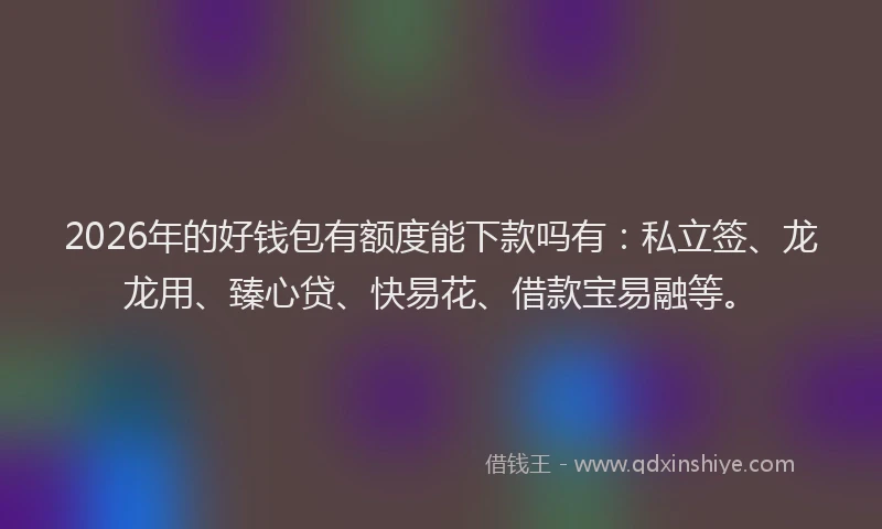 2026年的好钱包有额度能下款吗有：私立签、龙龙用、臻心贷、快易花、借款宝易融等。