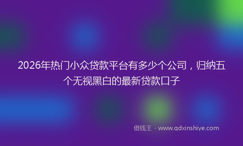 2026年热门小众贷款平台有多少个公司，归纳五个无视黑白的最新贷款口子