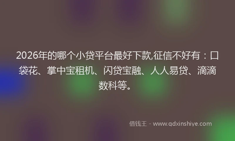 2026年的哪个小贷平台最好下款,征信不好有：口袋花、掌中宝租机、闪贷宝融、人人易贷、滴滴数科等。
