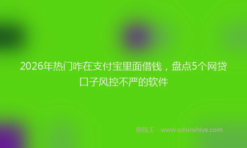 2026年热门咋在支付宝里面借钱，盘点5个网贷口子风控不严的软件