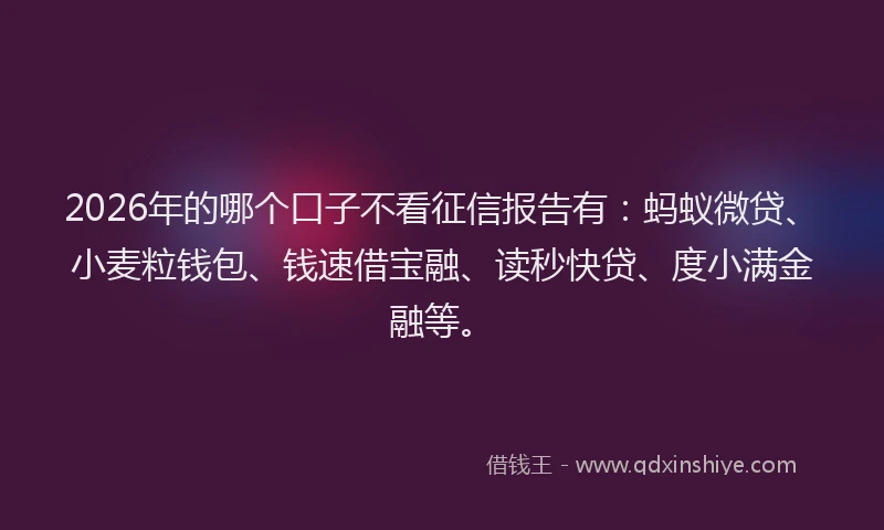 2026年的哪个口子不看征信报告有：蚂蚁微贷、小麦粒钱包、钱速借宝融、读秒快贷、度小满金融等。