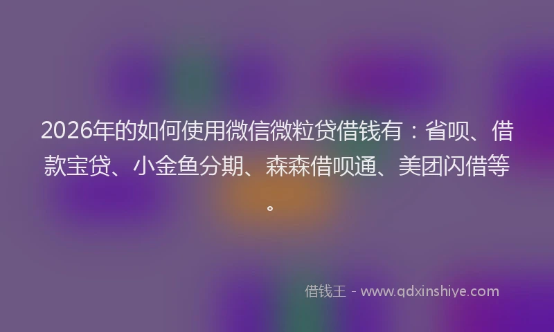 2026年的如何使用微信微粒贷借钱有：省呗、借款宝贷、小金鱼分期、森森借呗通、美团闪借等。