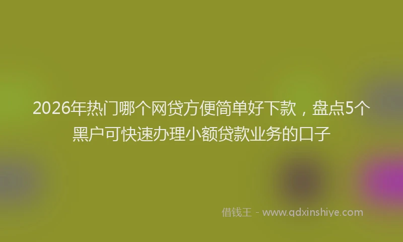 2026年热门哪个网贷方便简单好下款，盘点5个黑户可快速办理小额贷款业务的口子