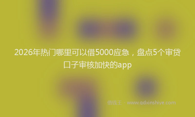 2026年热门哪里可以借5000应急，盘点5个审贷口子审核加快的app
