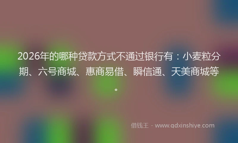 2026年的哪种贷款方式不通过银行有：小麦粒分期、六号商城、惠商易借、瞬信通、天美商城等。