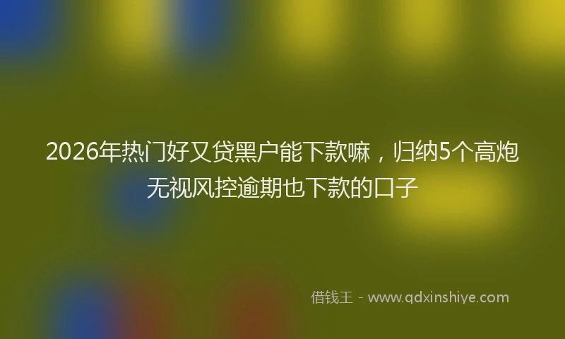 2026年热门好又贷黑户能下款嘛，归纳5个高炮无视风控逾期也下款的口子