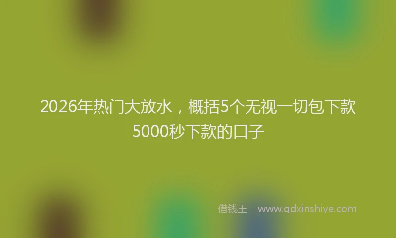 2026年热门大放水，概括5个无视一切包下款5000秒下款的口子