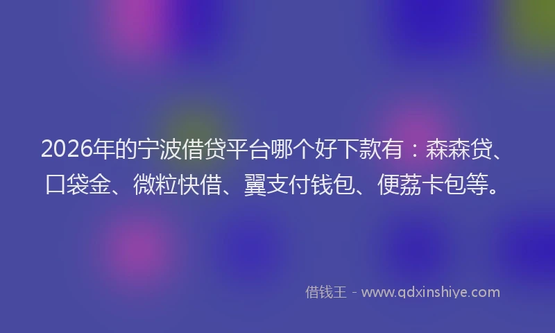 2026年的宁波借贷平台哪个好下款有：森森贷、口袋金、微粒快借、翼支付钱包、便荔卡包等。