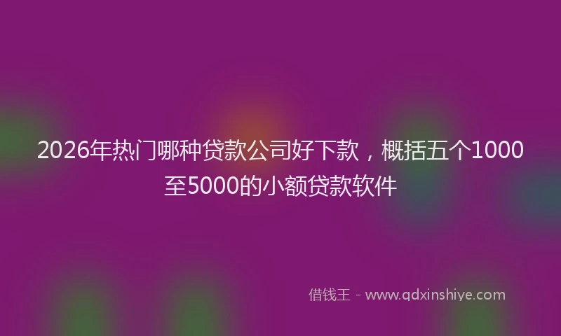 2026年热门哪种贷款公司好下款，概括五个1000至5000的小额贷款软件