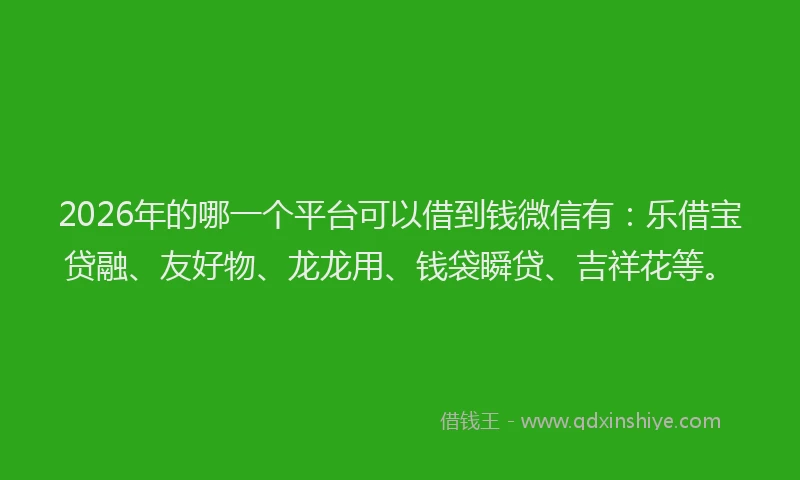 2026年的哪一个平台可以借到钱微信有：乐借宝贷融、友好物、龙龙用、钱袋瞬贷、吉祥花等。